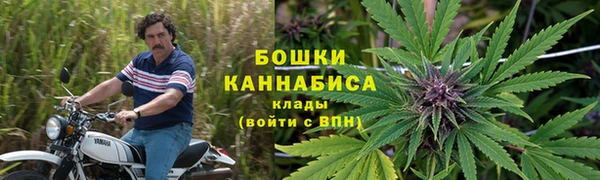 хмурый Арсеньев