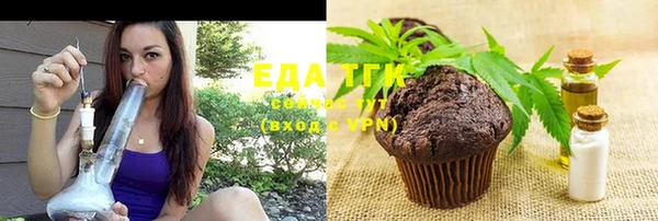 хмурый Арсеньев