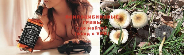 хмурый Арсеньев
