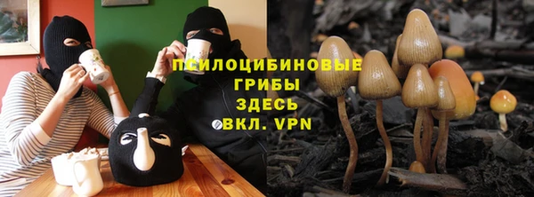 молекула духа Аркадак