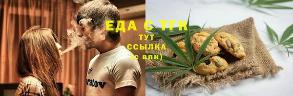 хмурый Арсеньев