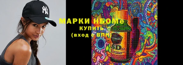 хмурый Арсеньев