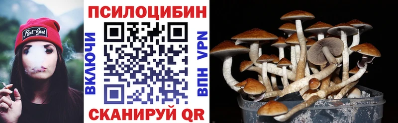 Купить  Сасово  Псилоцибиновые грибы MAGIC MUSHROOMS 